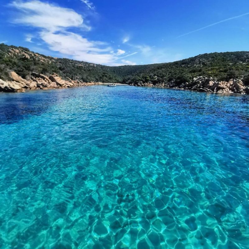 cala longa 1