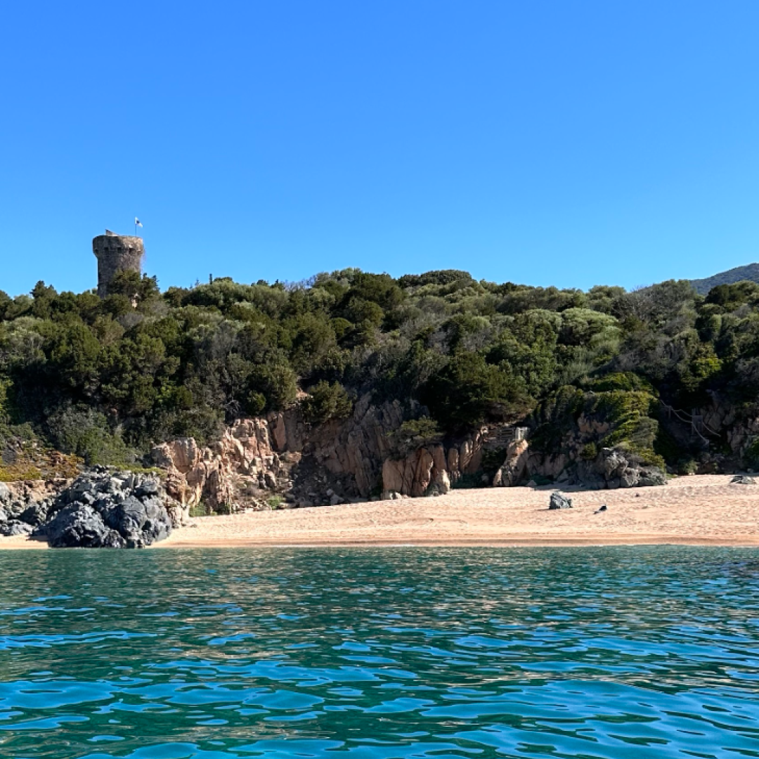 capture calanca ofotur